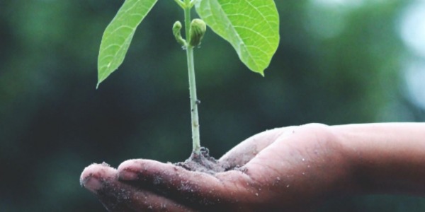 Il nostro impegno per la sostenibilità ambientale