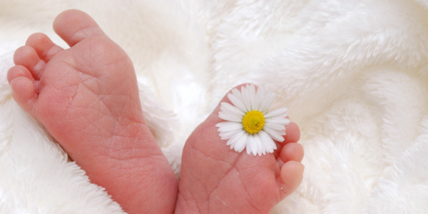 The benefits of wool baby booties